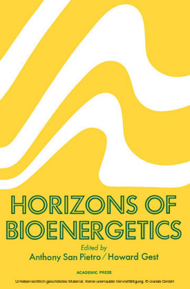 Horizons of Bioenergetics