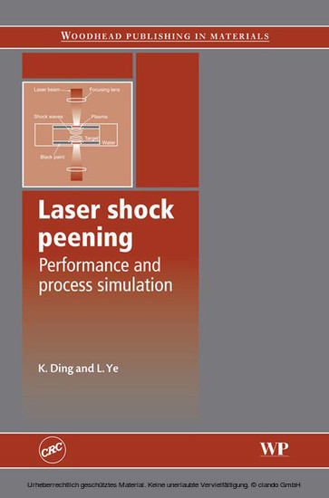 Laser Shock Peening main product photo