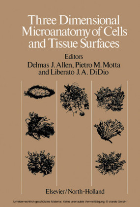 Three Dimensional Microanatomy of Cells and Tissue Surfaces