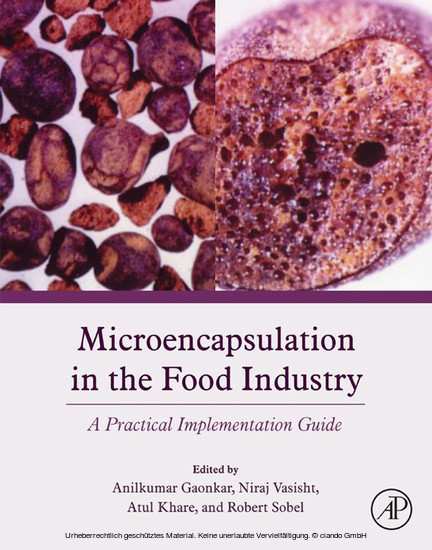 Microencapsulation in the Food Industry main product photo