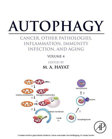 Autophagy: Cancer, Other Pathologies, Inflammation, Immunity, Infection, and Aging main product photo