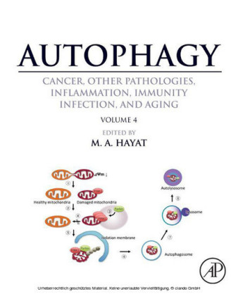 Autophagy: Cancer, Other Pathologies, Inflammation, Immunity, Infection, and Aging