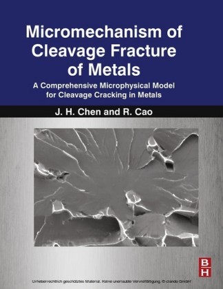 Micromechanism of Cleavage Fracture of Metals
