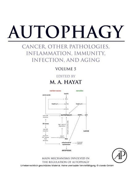 Autophagy: Cancer, Other Pathologies, Inflammation, Immunity, Infection, and Aging main product photo