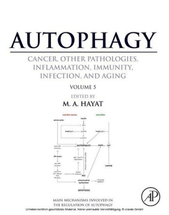 Autophagy: Cancer, Other Pathologies, Inflammation, Immunity, Infection, and Aging