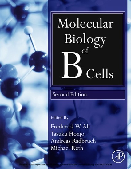 Molecular Biology of B Cells main product photo
