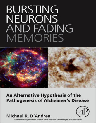 Bursting Neurons and Fading Memories