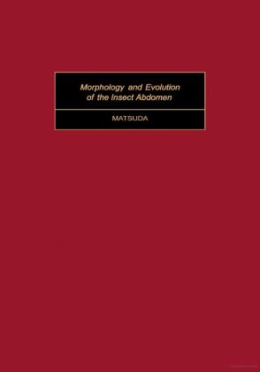 Morphology and Evolution of the Insect Abdomen