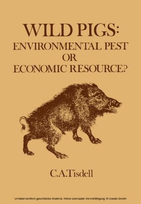 Wild Pigs