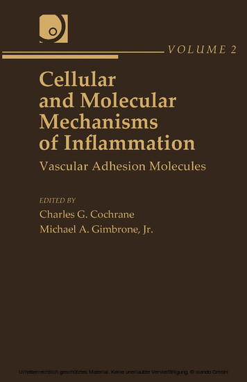 Cellular and Molecular Mechanisms of Inflammation main product photo