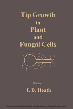 Tip Growth in Plant and Fungal Cells