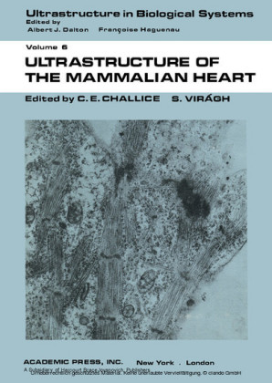 Ultrastructure of the Mammalian Heart