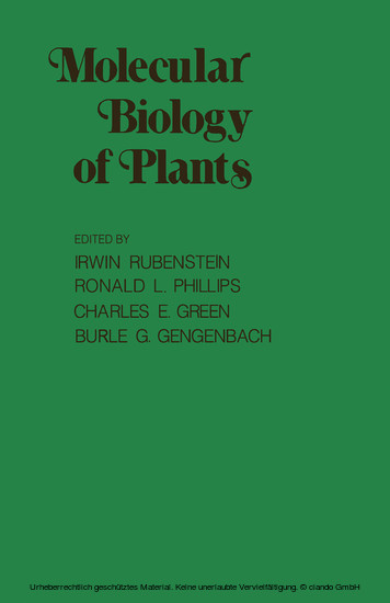 Molecular Biology of Plants main product photo