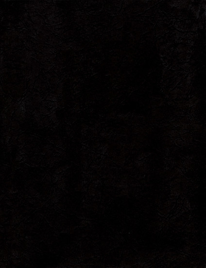 The Collected Papers of Paul Ehrlich main product photo