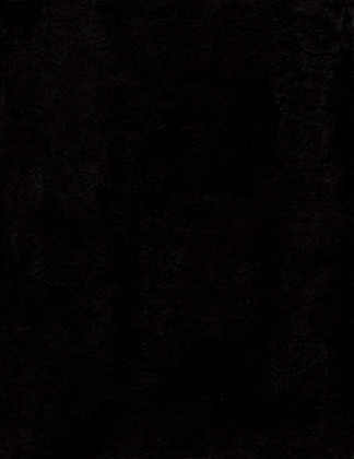 The Collected Papers of Paul Ehrlich