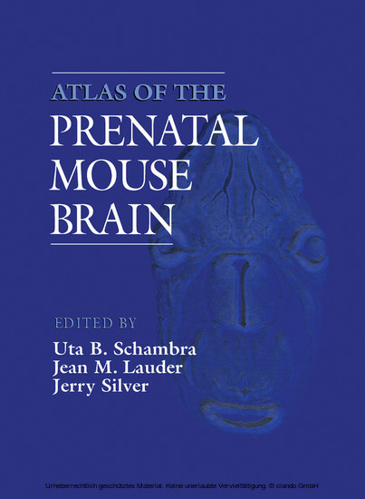 Atlas of the Prenatal Mouse Brain main product photo