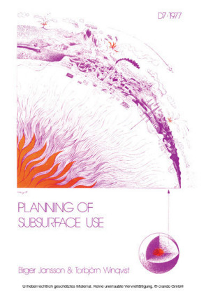 Planning of Subsurface Use