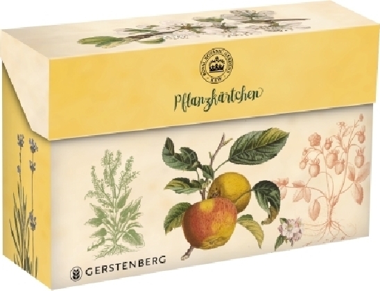Kew Gardens - Pflanzkärtchen für das Gartenbeet, Box mit 80 Karten main product photo