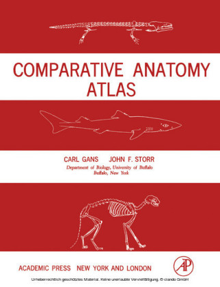 Comparative Anatomy Atlas