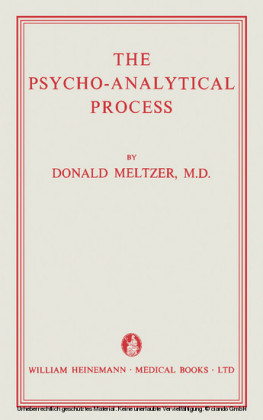 The Psycho-Analytical Process