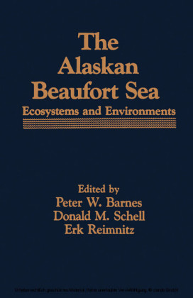 The Alaskan Beaufort Sea