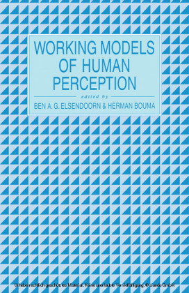 Working Models of Human Perception