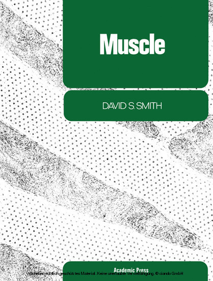 Muscle main product photo