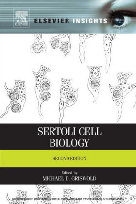 Sertoli Cell Biology