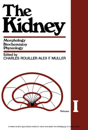 The Kidney