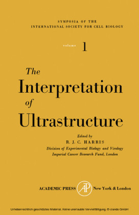 The Interpretation of Ultrastructure