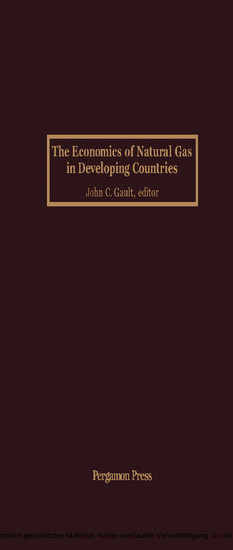 The Economics of Natural Gas in Developing Countries main product photo