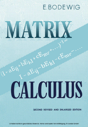 Matrix Calculus