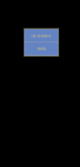 Lie Algebras main product photo