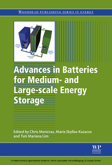 Advances in Batteries for Medium and Large-Scale Energy Storage main product photo