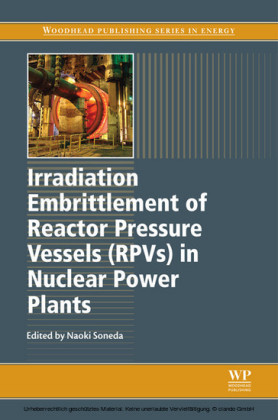 Irradiation Embrittlement of Reactor Pressure Vessels (RPVs) in Nuclear Power Plants