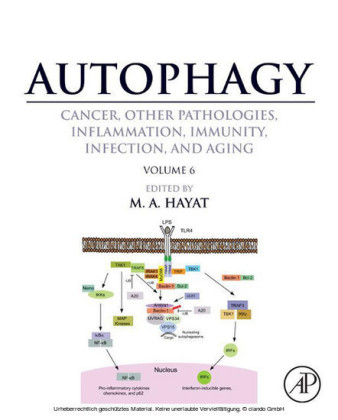 Autophagy: Cancer, Other Pathologies, Inflammation, Immunity, Infection, and Aging