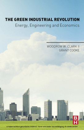 The Green Industrial Revolution