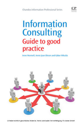 Information Consulting