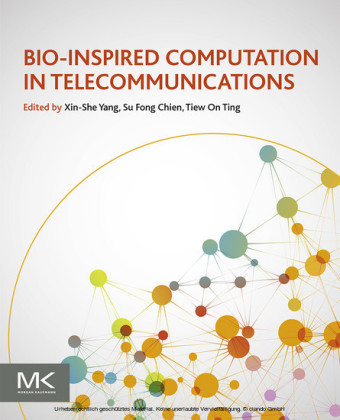 Bio-Inspired Computation in Telecommunications