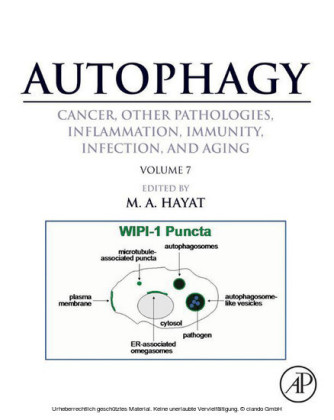 Autophagy: Cancer, Other Pathologies, Inflammation, Immunity, Infection, and Aging