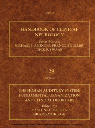 The Human Auditory System
