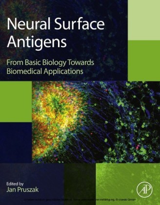 Neural Surface Antigens