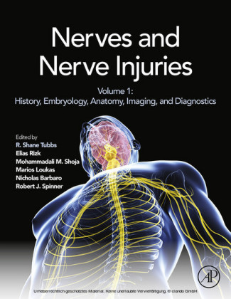 Nerves and Nerve Injuries