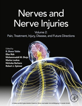 Nerves and Nerve Injuries