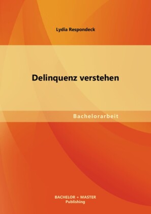 Delinquenz verstehen