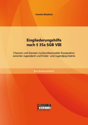 Eingliederungshilfe nach 35a SGB VIII: Chancen und Grenzen multiprofessioneller Kooperation zwischen Jugendamt und Kinder- und Jugendpsychiatrie