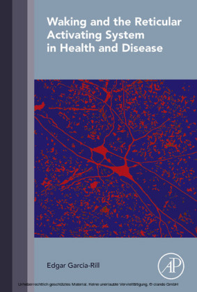 Waking and the Reticular Activating System in Health and Disease