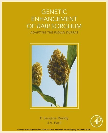 Genetic Enhancement of Rabi Sorghum main product photo