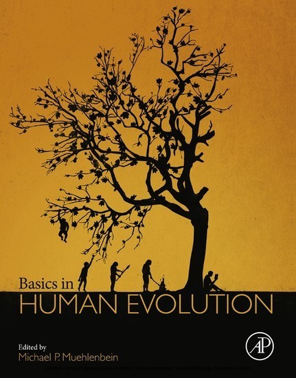 Basics in Human Evolution main product photo