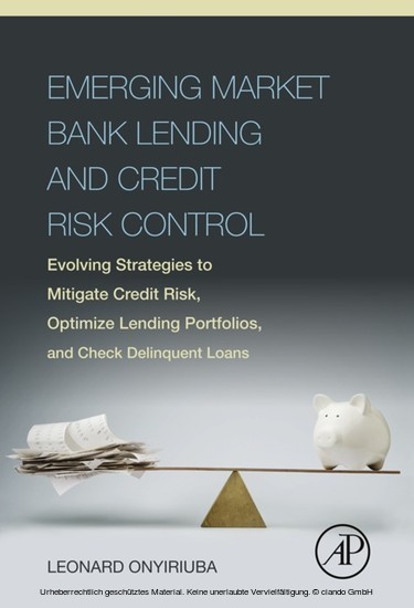 Emerging Market Bank Lending and Credit Risk Control main product photo
